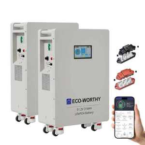 FAST DEVINE SALES ECO-WORTHYS Lot de 2 batteries LiFePO4 48V 314AH (32.15kWh) verticales pour stockage d'énergie de secours - Product Image 1