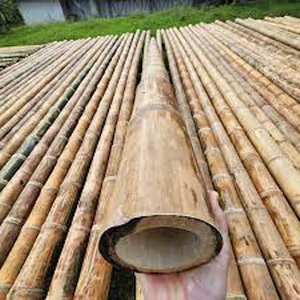 Grandes matières premières en bambou naturelles de poteaux pour la construction et la décoration - Product Image 5