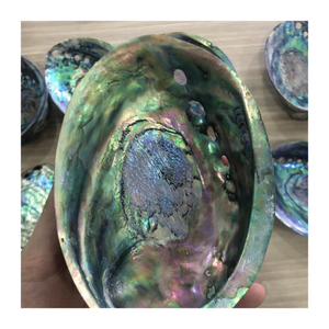 Cuentas de piedras preciosas de concha de abulón de Vietnam Natural pulido para joyería DIY y decoración creativa del hogar inspirada en el océano - Product Image 4