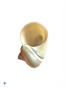 Coupe d'escargot de qualité supérieure avec un savoir-faire artistique idéal pour les repas raffinés et la décoration de la maison haut de gamme - Product Image 3