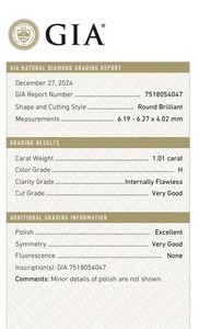 B2B D'Vins Jewels GIA Certified Diamante blanco suelto 1,02 CT Natural redondo G Color FL FLOW Pureza EX Cut Pulido - Product Image 3