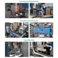 Encartonneuse verticale automatique DOM de fabrication italienne pour cartons RSC/HSC emballeuse de caisses à chargement par le haut pour ligne d'emballage alimentaire non alimentaire