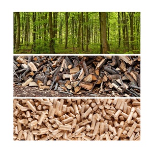 Belle forme de bâton pas cher vente en gros de granulés de bois de haute qualité fabrication de granulés de biomasse bois de biomasse combustible - Product Image 5