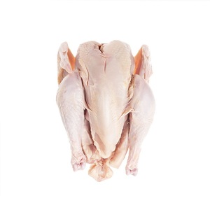 Pollo Entero Congelado Halal de Alta Calidad y Piezas de Pollo en Empaque a Granel - Product Image 1