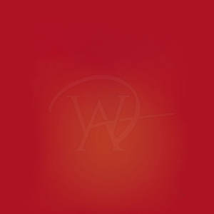 Pantalones cortos de gimnasio para hombre de nuevo estilo hechos a medida, tela de sudor de Color sólido, suministro al por mayor de Pakistán - Product Image 6