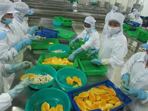 ¿Cómo encontrar mango congelado de alta calidad de proveedores confiables de Vietnam? - Product Image 4