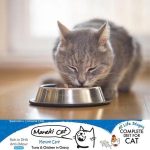 Top vente thon et citrouille en gelée saveur chat chaton nourriture tout pain fournitures pour animaux de compagnie meilleures friandises pour chats du fabricant - Product Image 6