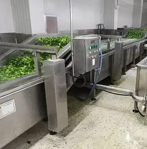 Grosir Ekspor Tiongkok Kualitas Tinggi Sayuran Organik Beku 1 Floret Brokoli