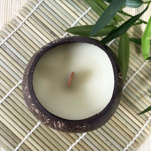 VELAS DE CÁSCARA DE COCO A SU PRECIO-ALTA CALIDAD, GRAN CANTIDAD 2024 - Product Image 1