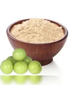 Best Price Indian Gooseberry Powder Amla Powder For Ayurvedic Medicine