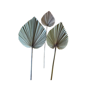 Décoration murale en feuille de palmier séchée pour café et décoration artistique événementielle de Vigifarm - Product Image 1