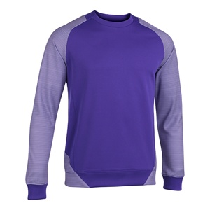 Vente chaude Hommes Lourd Polyester Coton Ras Du Cou À Manches Longues Sweat Teint Uni Avec Panneau Latéral Pour L'automne - Product Image 1
