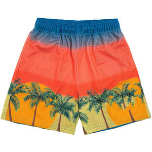2023 Quick Dry Elastic High Waist Breathable Wholesale Custom Printed <b>Shorts</b> Mesh Double Layer Street Printed <b>Shorts</b> For Men - Product Image 6