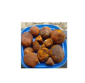 Cálculos biliares de vaca a la venta a precios bajos, compre cálculos biliares de vaca de calidad superior a granel, Pida ahora para una entrega rápida y asequible - Product Image 4