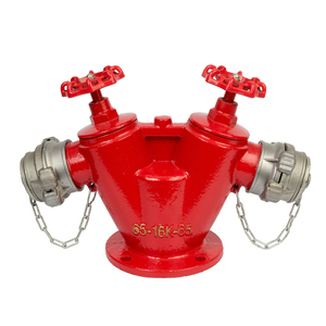 Bán buôn chữa cháy thiết bị 4 inch gang đôi ổ cắm vòi cứu hỏa hạ cánh van - Product Image 4