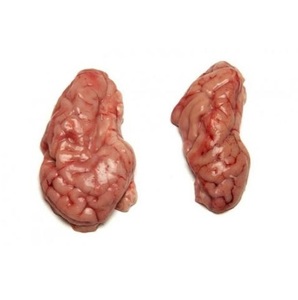 Cerveau de porc congelé entier |   Cerveau de porc de haute qualité pour les acheteurs mondiaux - Product Image 1