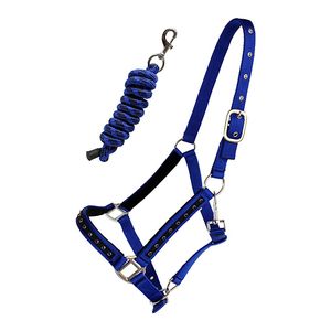 Licou de cheval personnalisé de haute qualité, licou pratique pour chevaux équins - Product Image 2