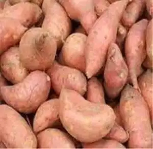 Batatas doces frescas egípcias, venda quente doce doce fornecedores 100% natural