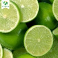 VIET THIEN PHU VTP/OL-28 Vente en gros de haute qualité Citron vert sans pépins Citron vert citron frais prêt à expédier