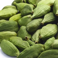 Venta al por Mayor de Semillas de Cardamomo Verde Natural Secas de Estados Unidos, 8mm, 100% Puro Natural, Bolsas de PP de 25/50kg, Venta a Granel a Nivel Mundial