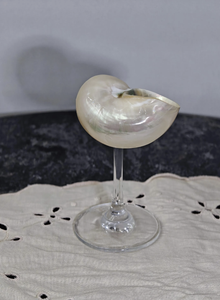 Copa de vino Real Seashell pulida y empaquetada para hoteles, bodas y tiendas minoristas - Product Image 2