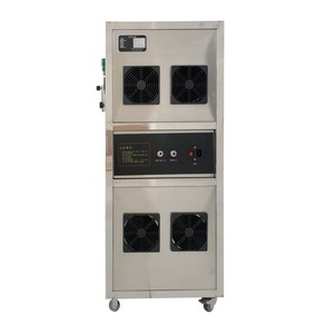 식품 가공용 220V 30 g/h 산소원 오존 발생기 1 년 보증 살균 소독 - Product Image 3