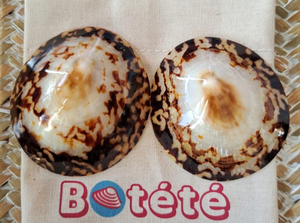 Limpet Seashells-Concha de playa genuina para Artes y manualidades-Concha de lactancia - Product Image 4