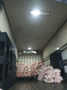 ไก่แช่แข็งฮาลาลทั้งตัวราคาถูกขาย - Product Image 4