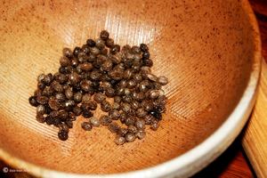 ผลไม้เมืองร้อนสำหรับผู้หญิงสีแดงมะละกอหวานสำหรับน้ำผลไม้ปั่นของหวานขายส่งจากผู้ผลิตเวียดนาม - Product Image 2