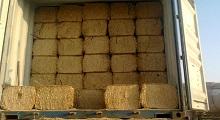 Balles de fourrage naturelles séchées au soleil de haute qualité balles de foin de paille de blé compactes aliments pour animaux enrichis en protéines pour bétail cheval chameau - Product Image 5
