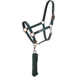 Cabestros de caballo personalizados al por mayor, Halter práctico de alta calidad, cabestro ajustable para caballos, cuello de cabeza de caballo equino, Halter duradero de poliéster - Product Image 4