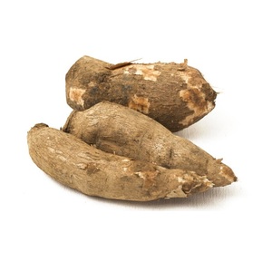Légumes de manioc frais 100% naturels et biologiques 20cm 25kg Portugal au meilleur prix de gros - Product Image 5