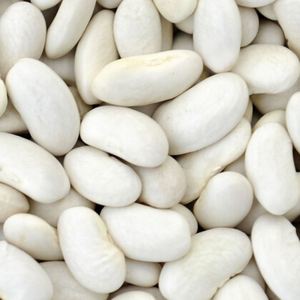 Haricots blancs en gros d'usine avec une valeur nutritive élevée - Product Image 1