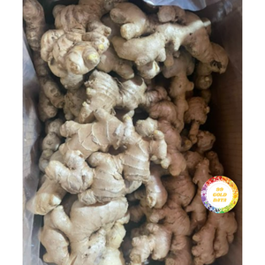 RACINES DE GINGEMBRE FRAIS DE HAUTE QUALITÉ GOÛT NATUREL DU FOURNISSEUR DU VIETNAM AVEC BON PRIX POUR L'EXPORTATION - Product Image 2