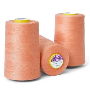 Vente chaude 100% Polyester Fils À Coudre Personnalisé HL AGON Agrafe Filé Résistant À L'eau Haute Ténacité Taille 5000Yards Gratuit - Product Image 6
