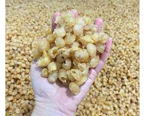 ลำไยแห้งจากเวียดนามที่มีเนื้อสัมผัสที่สะอาดสีสดใสและรสชาติที่ดีเยี่ยมจากลำไยแห้งโดยบริษัท99GD - Product Image 3