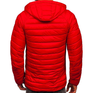 OEM personalizado de los hombres de invierno acolchado chaqueta con capucha cálido a prueba de viento transpirable respetuoso del medio ambiente estilo Casual Stand Collar ligero Plus - Product Image 4