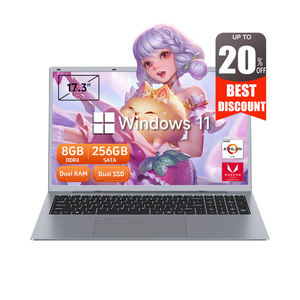 Ordinateur portable professionnel 17,3 pouces Intel AMD Ryzen 9 8 Go de RAM 256 Go de SSD Windows 10 Pro Clavier anglais Prise US 144 Hz 1366x768 Écran IPS - Product Image 1