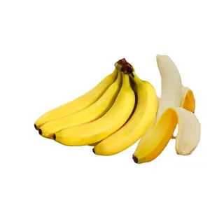 중량 관리를위한 고급 품질의 바나나 건조 추출물 대량 판매를위한 제조 업체 직접 공급