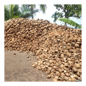 Cáscara cruda de Coco para exportación, excelente opción para fabricantes de carbón vegetal, artesanos, diseñadores de jardines, productores de muebles - Product Image 5