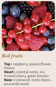 Bougie artisanale moderne de luxe aux fruits rouges, 25 cl, logo personnalisé, cire mélangée, pot en verre cylindrique, 55 heures de combustion - Product Image 5