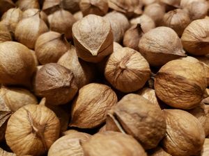 ถั่วฮิกกอรี่เปลือกดิบอบแห้งออร์แกนิก - Product Image 3