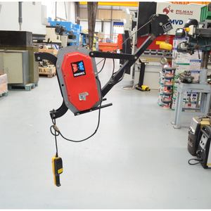 Wiskehrs Senior EM-304 300KG Cargo Lift - Product Image 5