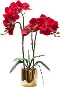 THAOF-155 ราคาส่งก้านกล้วยไม้สัมผัสจริงดอกไม้ประดิษฐ์กล้วยไม้ฟาลาเอโนปริส - Product Image 2