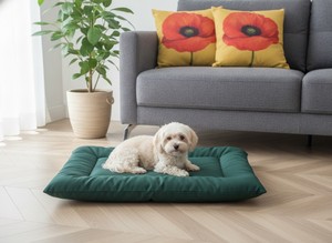 Amistar Premium Pet Bed — High-Quality <b>Cushion</b> Mat for Cats & Dogs of All Sizes and Ages. - Product Image 3