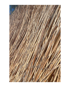 Palo de caña de ratán de materia prima natural de alta calidad para productos agrícolas - Product Image 3