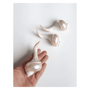 Reposa Palillos de Concha Marina, Soporte Natural para Palillos y Cucharas para Comer al Estilo Japonés, Hecho en Vietnam - Product Image 1