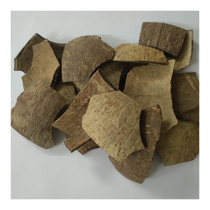 Cáscara cruda de coco natural al por mayor para detalles de muebles, jardineras orgánicas, producción de carbón vegetal y usos artesanales creativos - Product Image 4