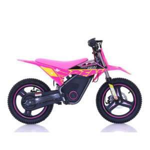 %100 AUTHENTIQUE 2025 RFN Warriorr SX-E500 Moto tout-terrain pour enfants - Product Image 3
