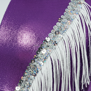 Tenue de danse professionnelle bicolore métallique brillante avec garniture en sequins argentés et franges à pampilles, costume de performance très élastique - Product Image 4